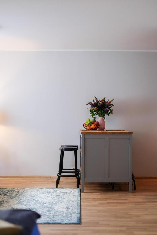 Ohtu Poik 2 City Center Basement Apartment 페르누 외부 사진